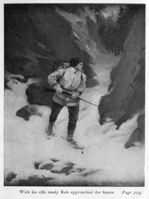cover image of The Wolf Hunters